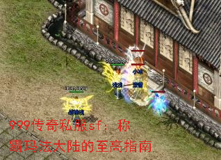 999˽sfư귨½ָ