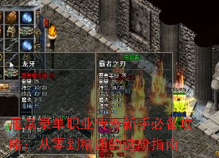 㵴¼ְҵֱرԣ㵽ͨĽָ