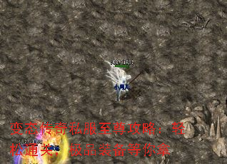 ̬˽ԣͨأƷװ