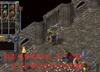 Ӱ浥ְҵսɳǵĽ׹ָ