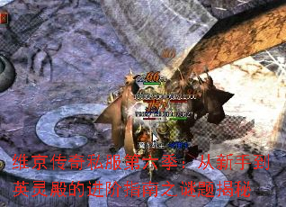 ά˽ֵӢĽָ֮