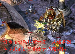 ά˽ֵӢĽָ֮