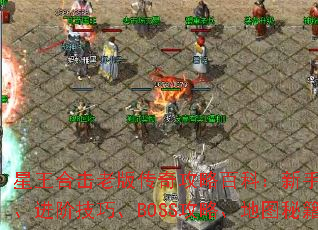 ϻϰ洫湥԰ٿƣָϡ׼ɡBOSSԡͼؼ