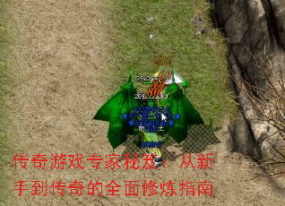 Ϸרţֵȫָ