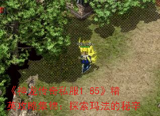 ˽1.85ӢԼ̽귨