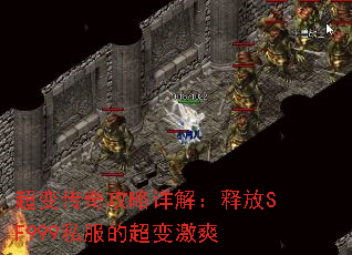 䴫湥⣺ͷSF999˽ĳ伤ˬ