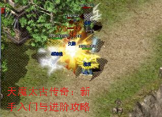 ħ̫Ŵ棺׹