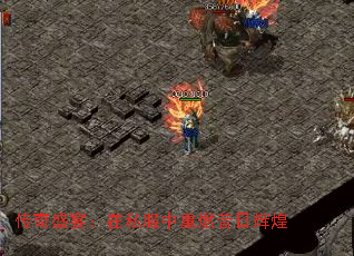 ʢ磺˽ȼջԻ