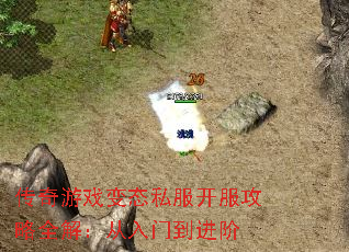 Ϸ̬˽ȫ⣺ŵ