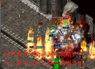 ¿䴫sfվԴٿƣֽ֮·￪ʼ