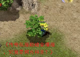˽۷ȫǺηʥ