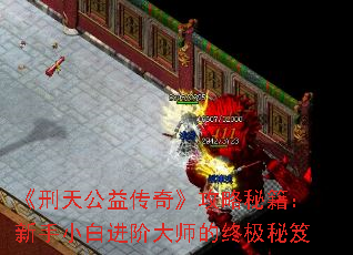 칫洫桷ؼС׽״ʦռ