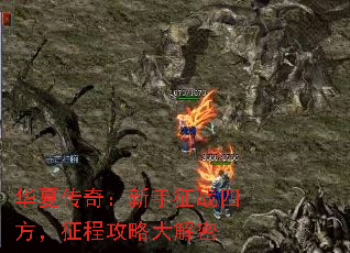 Ĵ棺սķ̹Դ