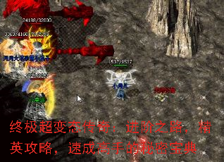 ռ̬棺֮·Ӣԣٳɸֵܱ