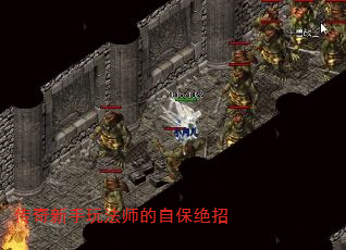 淨ʦԱ