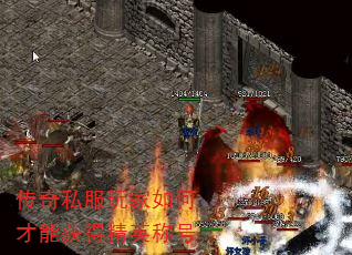 ˽βܻþӢƺ