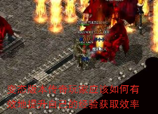 ̬汾ӦЧԼľȡЧ