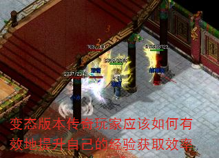 ̬汾ӦЧԼľȡЧ