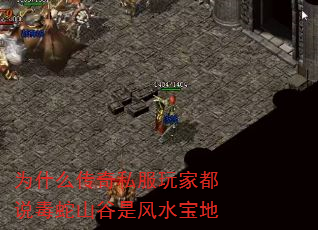 Ϊʲô˽Ҷ˵ɽǷˮ