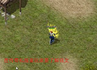 ڴ˽Ҫ˽