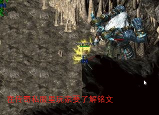 ڴ˽Ҫ˽