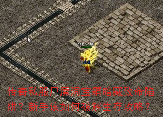 ˽ʬħ䰵壿ָƽ湥ԣ