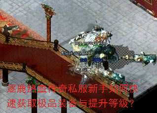 ¹Ѫ˽οٻȡƷװȼ