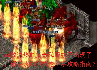 sdҴѪ˽ڳˣָοָֹϣ