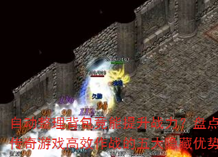 Զս̵㴫ϷЧս