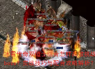 ѩ˫ʿЧսbossʵսϹԽ