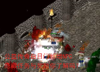 洫NPC뽱˽