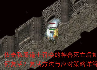 ˽ʿٻθӦԲ
