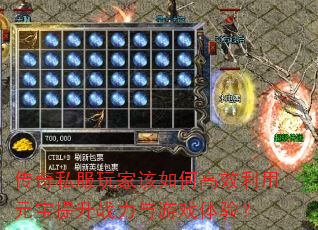 ˽ҸθЧԪսϷ飿