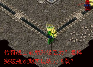 սʿǰͻƿʵսԾ