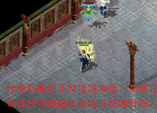 ˽ִЧʵͣȷѡΣղ