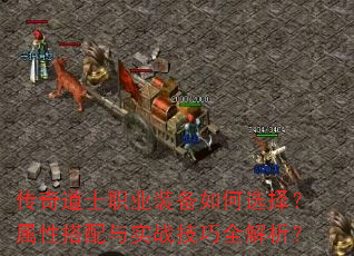 ʿְҵװѡԴʵսȫ