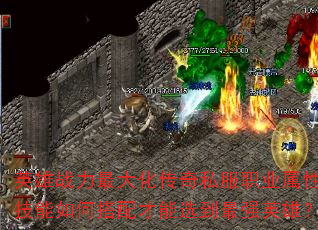 Ӣս󻯴˽ְҵԼδѡǿӢۣ