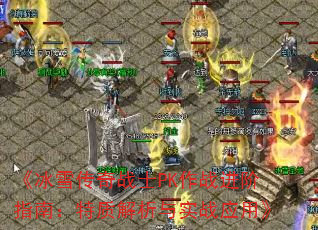 ѩսʿPKսָϣʽʵսӦá
