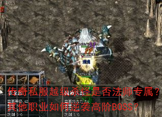 ˽ԽɱǷʦרְҵϮ߽BOSS
