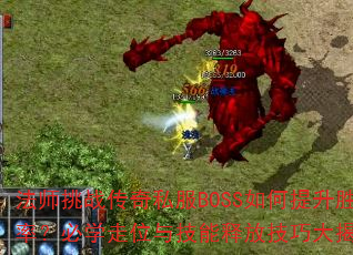ʦս˽BOSSʤʣѧλ뼼ͷżɴ