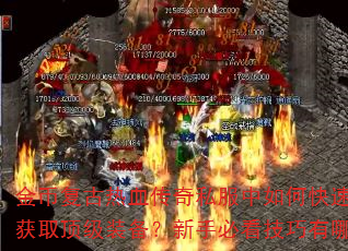 ҸѪ˽οˢ𲢻ȡװֱؿЩ