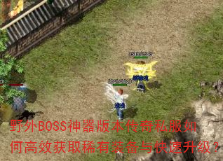 ҰBOSS汾˽θЧȡϡװ