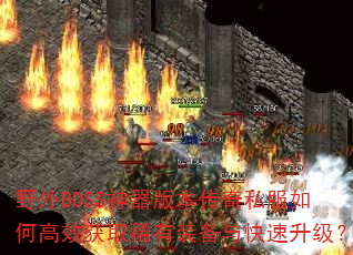 ҰBOSS汾˽θЧȡϡװ