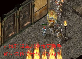 ԯְҵοսȼ