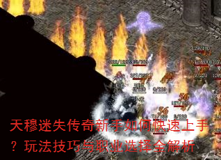ʧο֣淨ְҵѡȫ