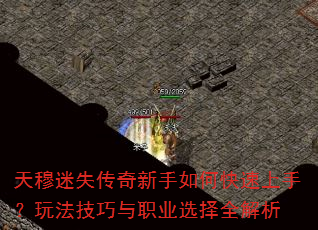ʧο֣淨ְҵѡȫ