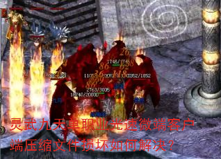 쵥ְҵ΢˿ͻѹļν