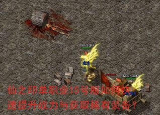 ֮ӡְҵ15ŷοսȡϡװ