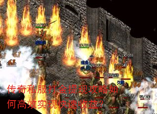 ˽ֹθЧʵֿ棿