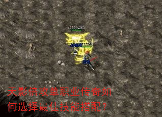 ӰְҵѡѼܴ䣿